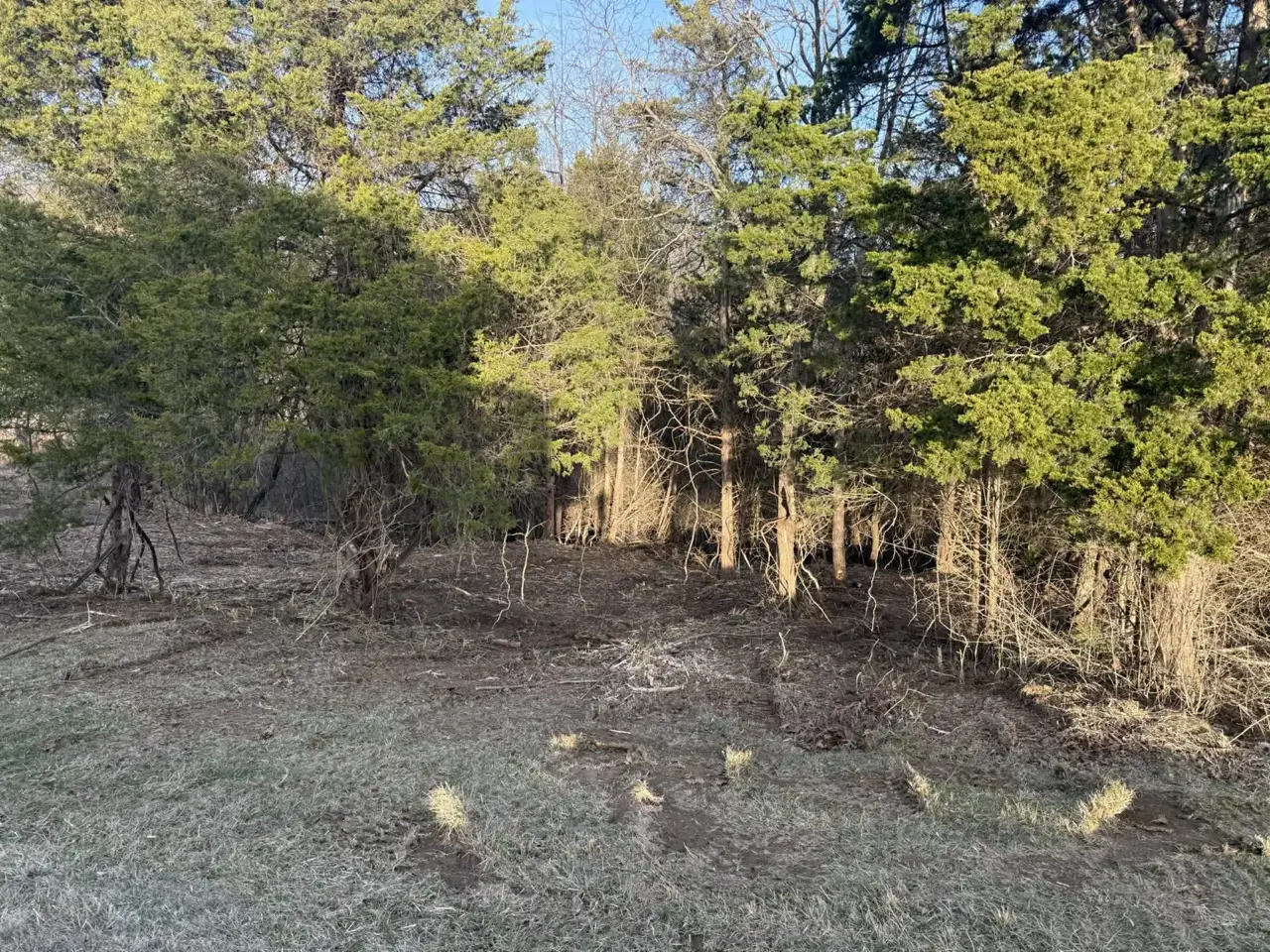 How to Maintain Cleared Land So It Doesn't Grow Back