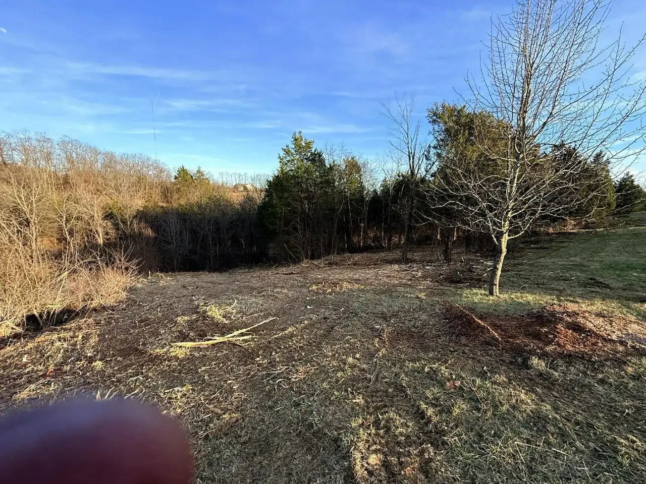 Forestry Mulching & Land Clearing in Worthville, KY