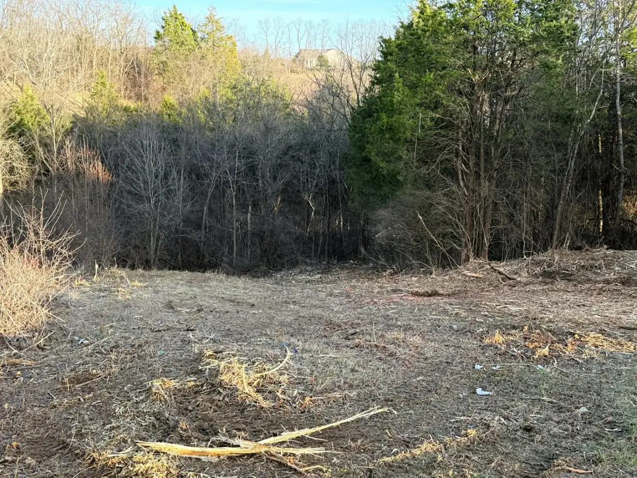 Clearing Land for Horse Property in Kentucky: Pasture, Paddocks, and Trails