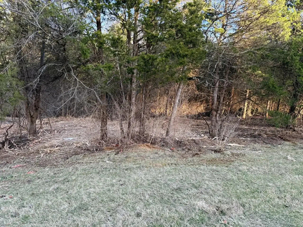 Fence Line Clearing