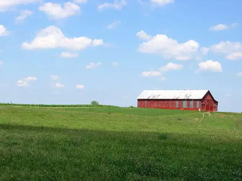 Forestry Mulching & Land Clearing in Cincinnati, Ohio