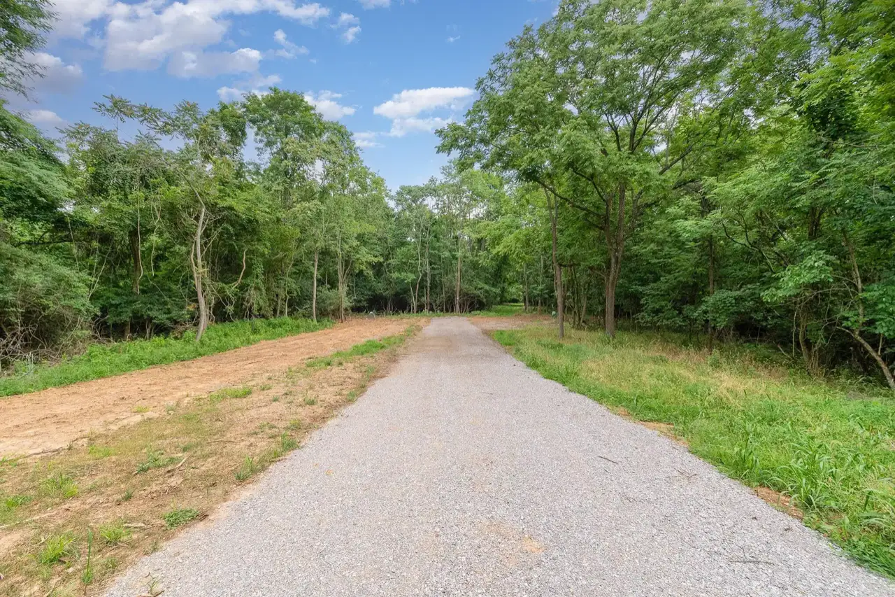 Commercial Land Clearing