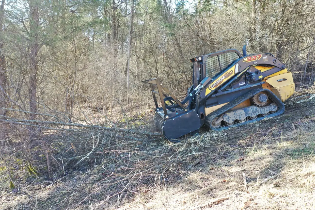 Forestry Mulching vs. Bulldozing: Cost, Speed, and Results Compared
