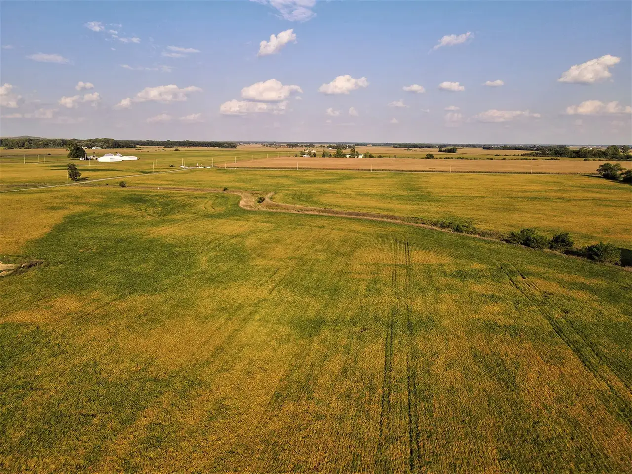 Farm & Pasture Reclamation