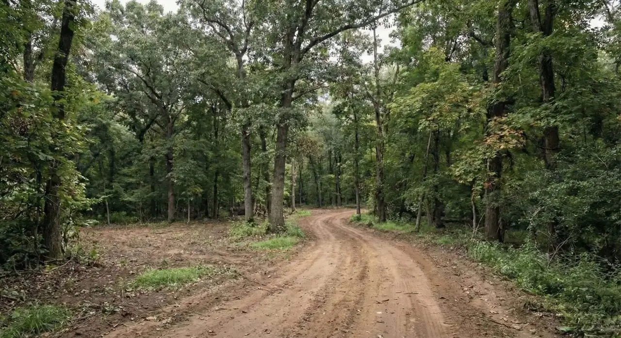 Commercial Lot Clearing: Meeting City Code and Site Plan Requirements