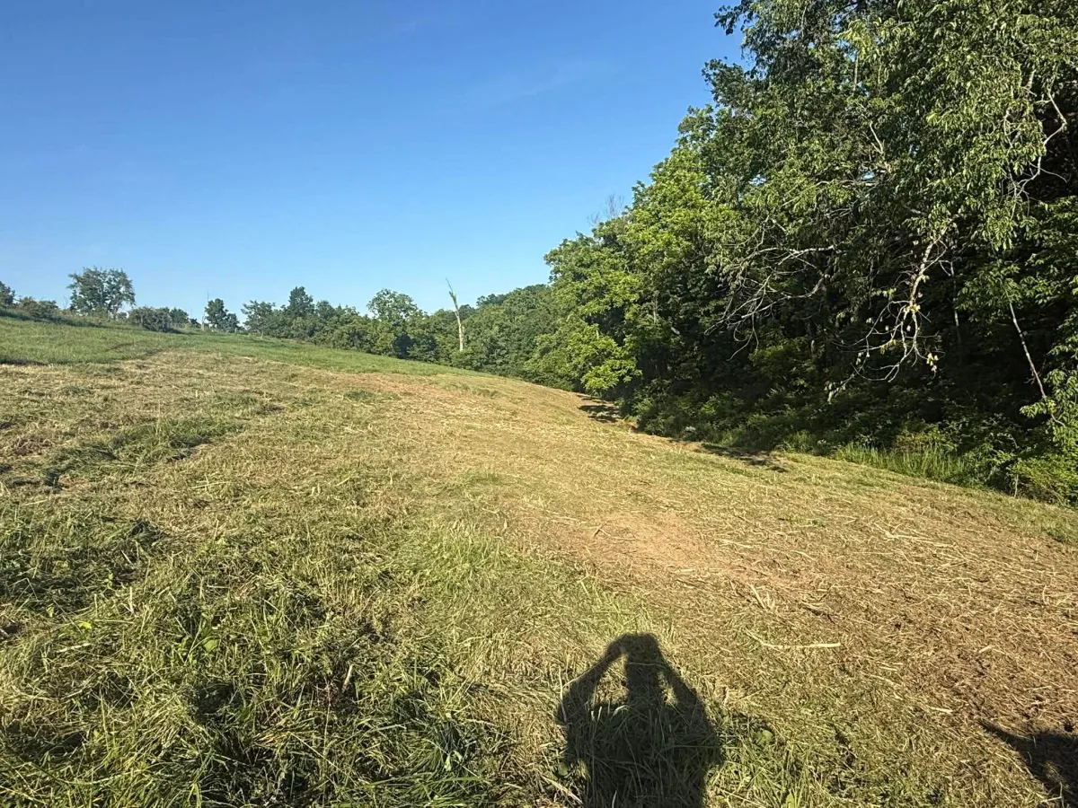 Land Clearing in Grant County, KY: A Local Owner’s Guide