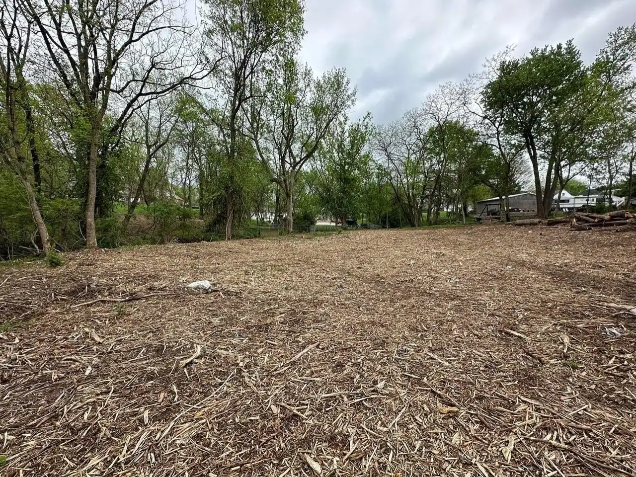 Stump Grinding