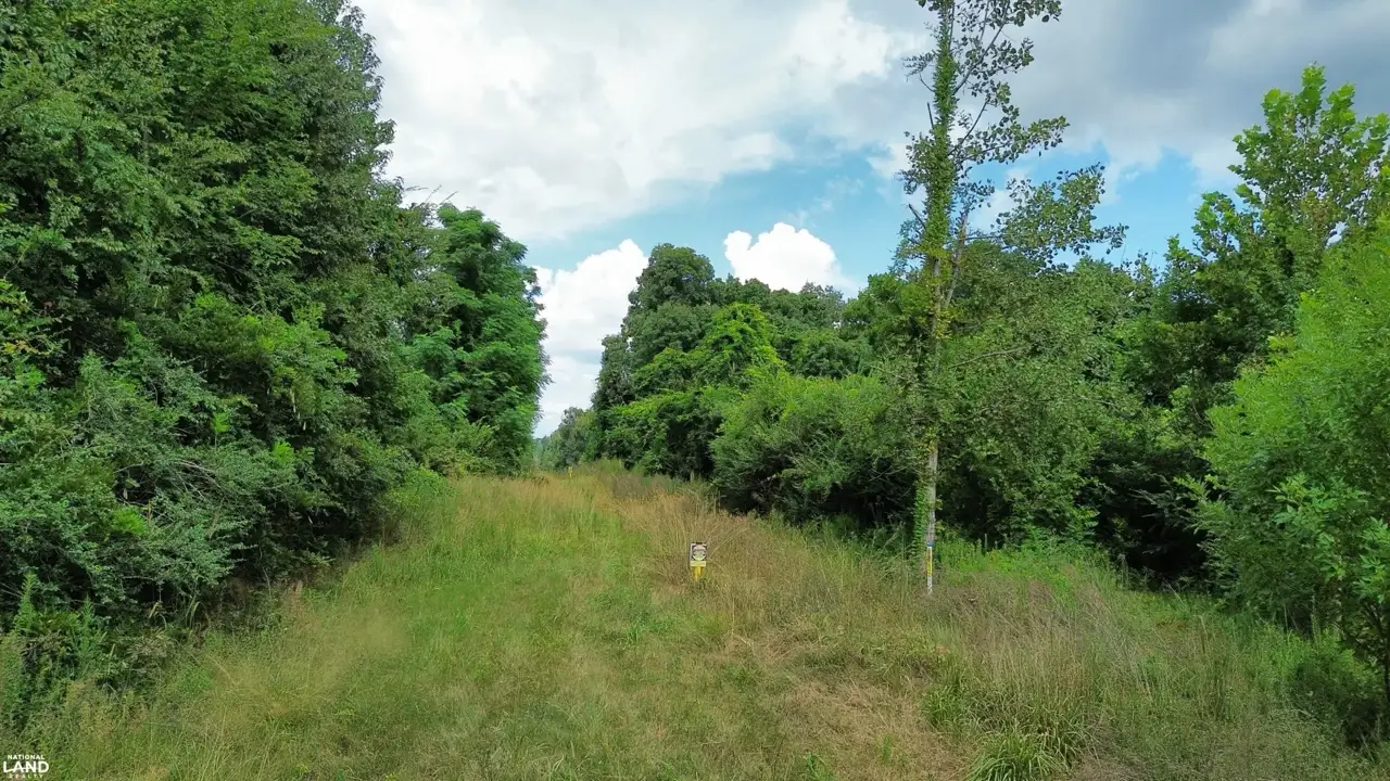 Residential Lot Clearing