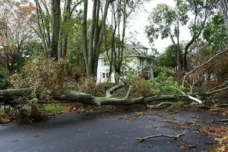 Storm Cleanup by EarthWorx